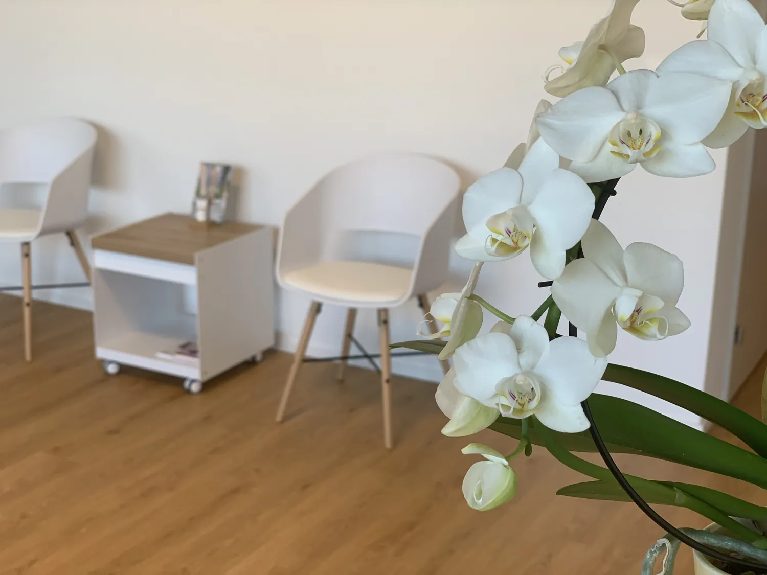 Heller Wartebereich der Praxis mit weissen Stühlen und Orchideen